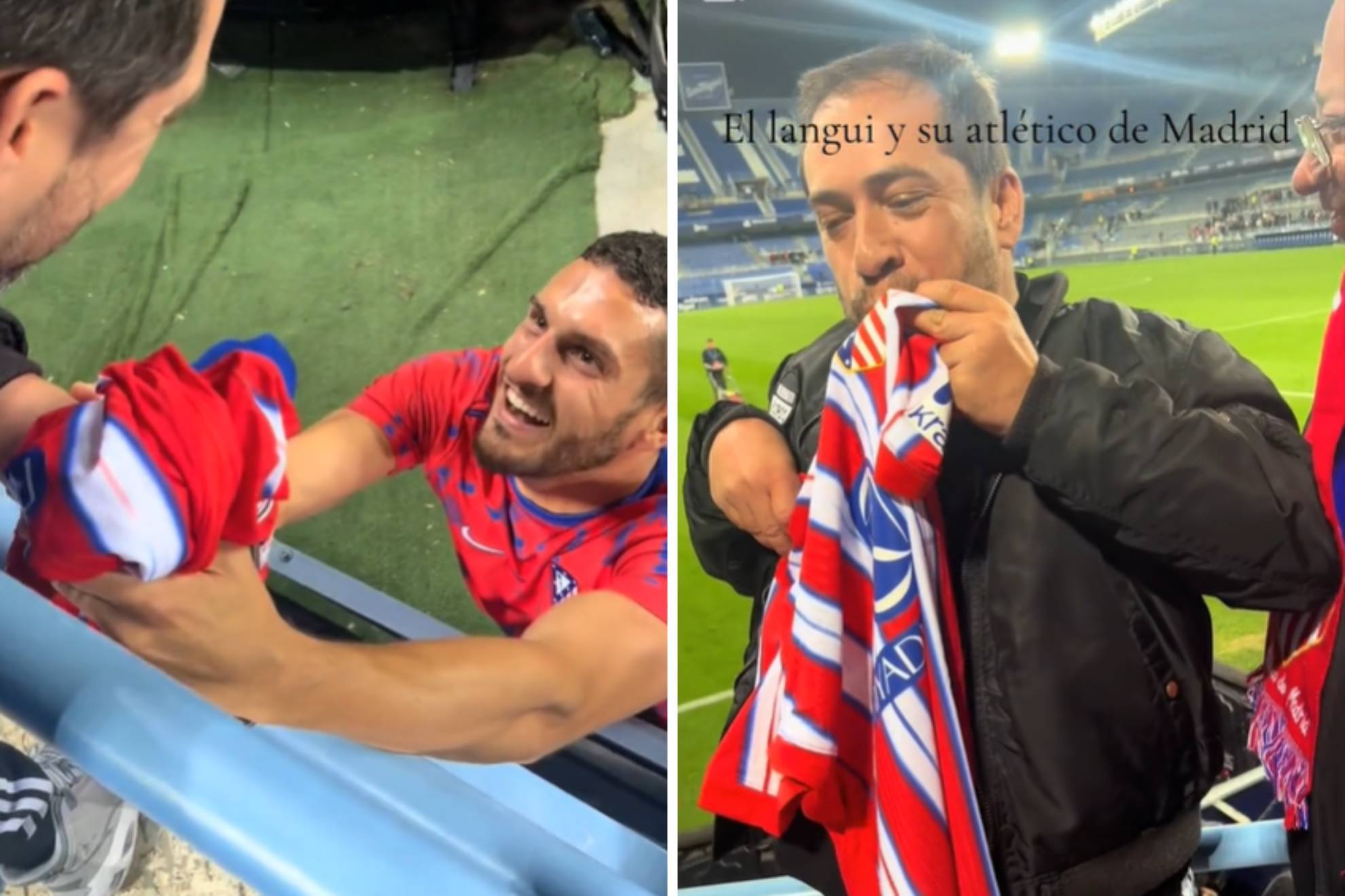 凭借其稳健 凭借其稳健